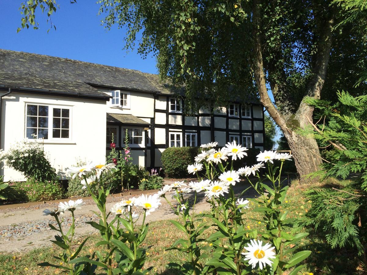 Yew Tree Cottage Leominster Exterior photo